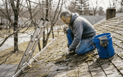 Roof moss removal guide 2026: protect your Massachusetts home